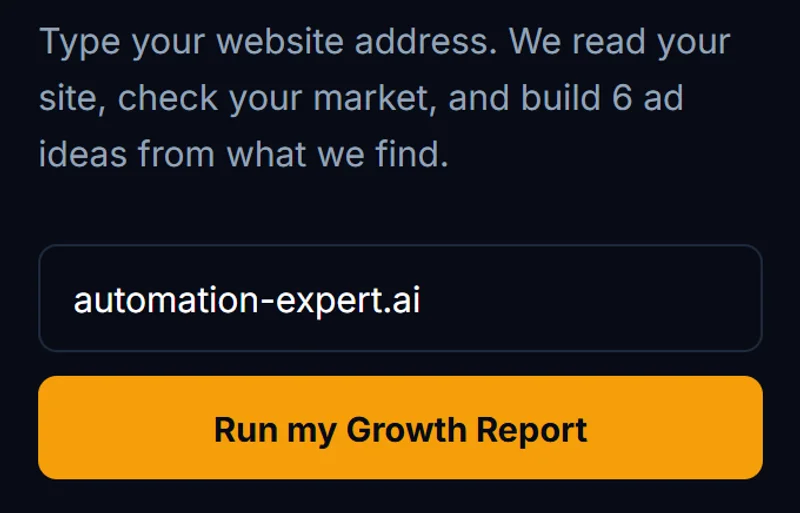 Typing a website address into the GNR8 growth report box